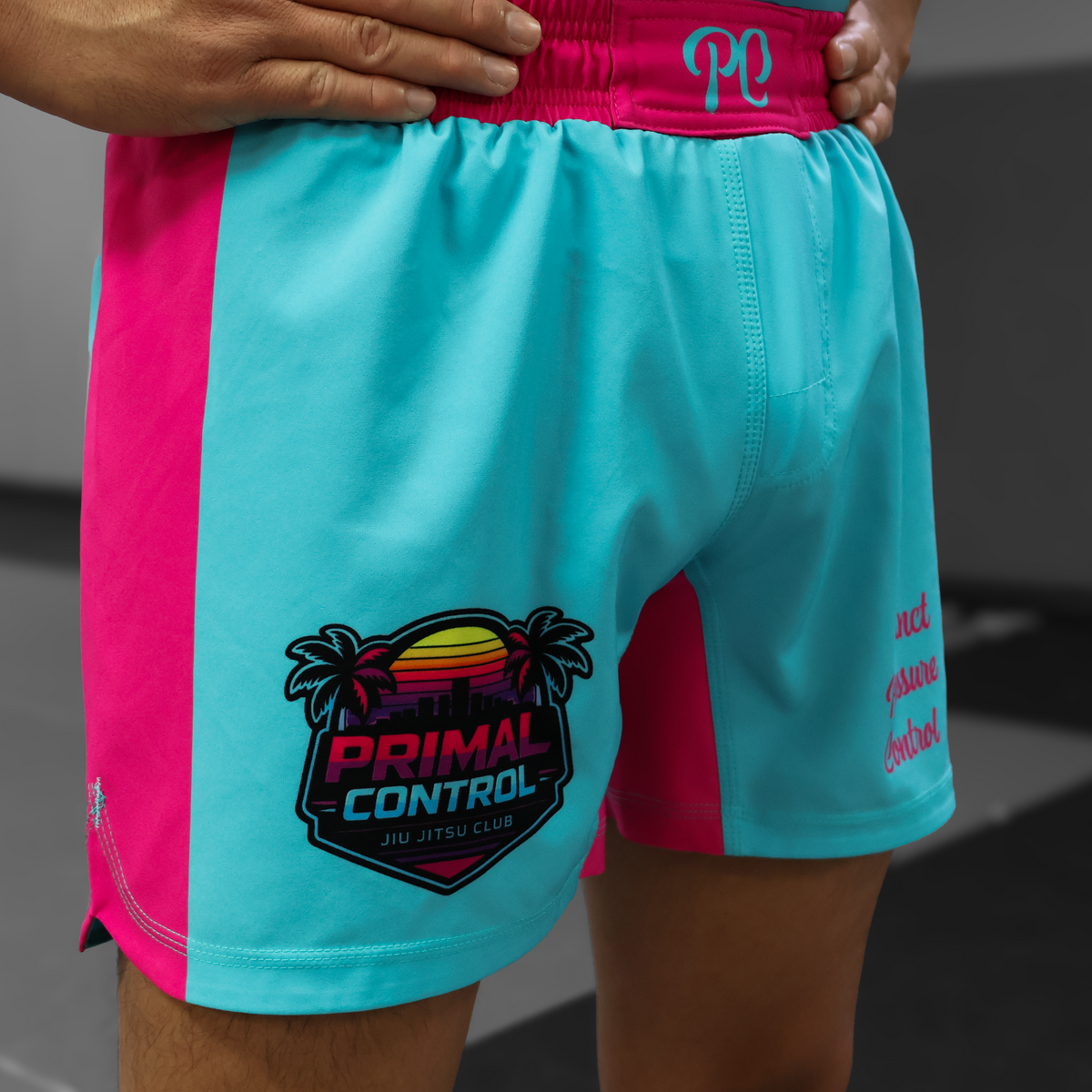 Vice Series No-Gi Short
