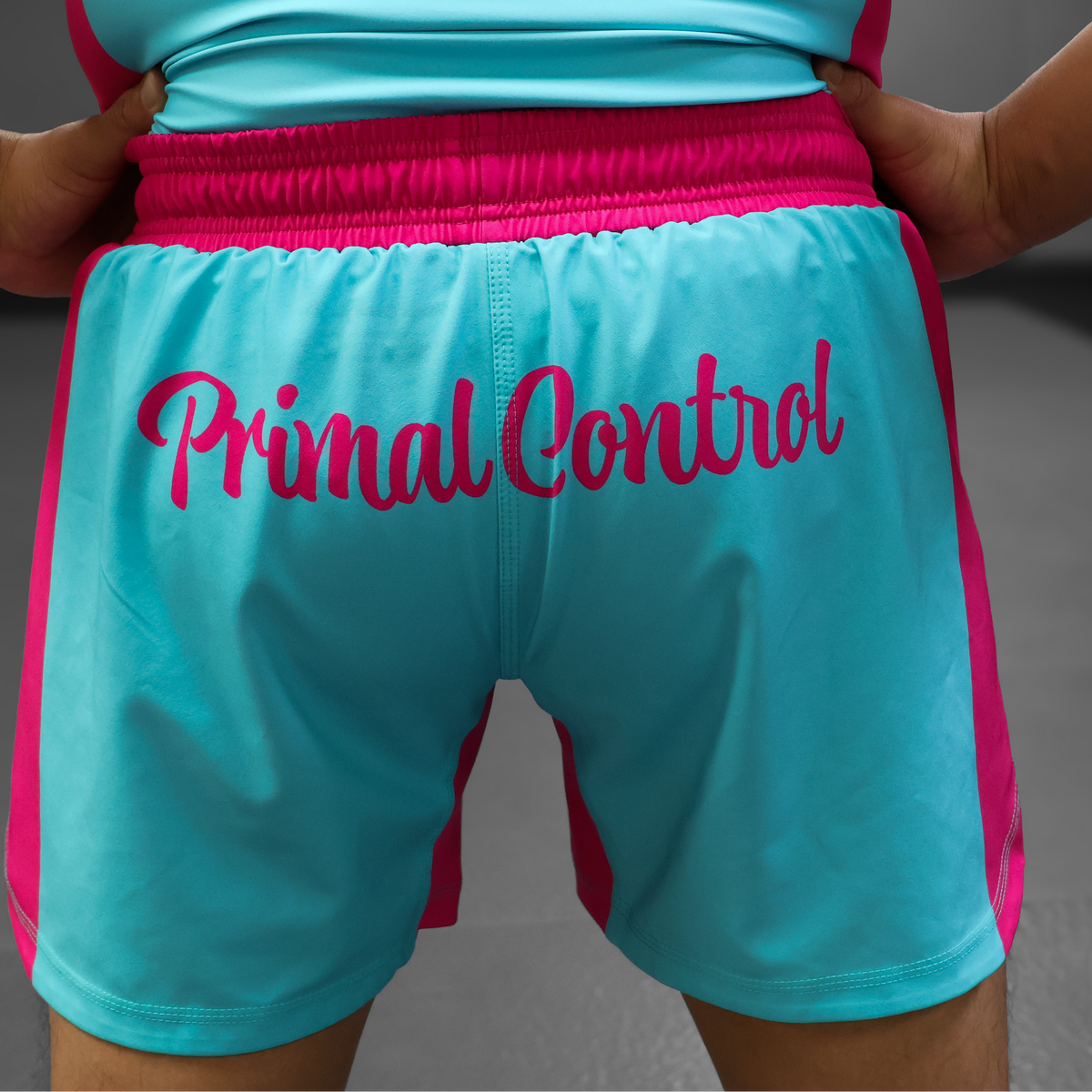 Vice Series No-Gi Short